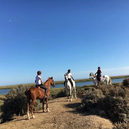 Séjour à la campagne Herdade Dos Salgados Do Fialho District de Faro