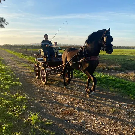 Séjour à la campagne Herdade Dos Salgados Do Fialho *