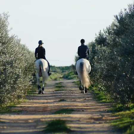 Herdade Dos Salgados Do Fialho Фару