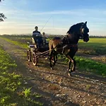 Venkovský dům Herdade Dos Salgados Do Fialho *