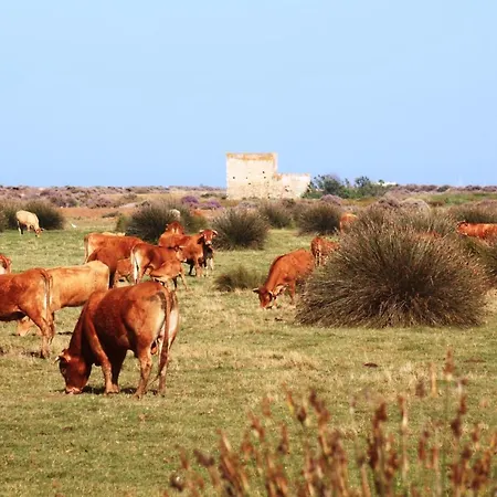 Country house Herdade Dos Salgados Do Fialho Faro