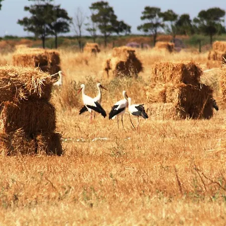 Herdade Dos Salgados Do Fialho * Faro