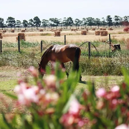 Herdade Dos Salgados Do Fialho *