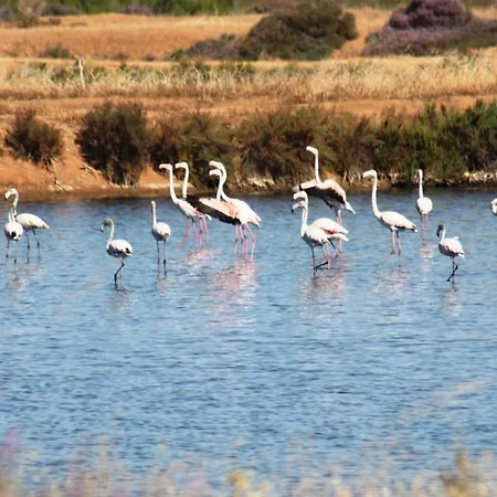 Herdade Dos Salgados Do Fialho Country house