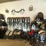 Hétvégi ház Herdade Dos Salgados Do Fialho